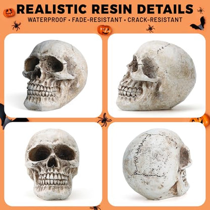 Skull Decor, Resin Realistic Skeleton Head Statue for Halloween, Fake Human Bone Skull Model for Halloween Decoration, Home, Party, Table, Bookshelf