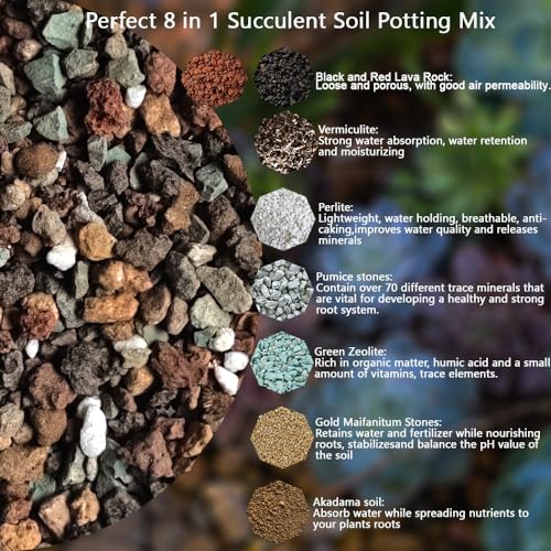 Rurtsva Mix Horticulturall 3lbs Lava Rocks Mixed Potting Soil for Plants Bonsai Succulents and Cacti Soil Decoration Gravel Volcanic Pumice Stones for Terrarium, Top Dressing, Fairy Gardening - size: 3LBS