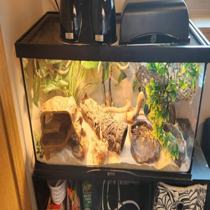 Bearded Dragon Hammock,Reptile Lounger Lizard Natural Seagrass Habitat Decor Reptiles Tank Hanging Plants Jungle Climber Vines Flexible Leaves Accessories for Lizards Chameleon Gecko Corn Snakes