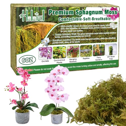 Halatool 6OZ Green Forest Moss Natural Sphagnum Moss for Plants Fluffy Orchid Moss for Orchids Repotting Dried Plant Moss for Potted Plants Indoor & Outdoor - color: 6 oz