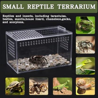 Acrylic Jumping Spider Enclosure Kit,Reptile Tank Escape Proof,Breathable Reptile Terrarium-High Transparency-Tweezer & Temp Sticker Included【No Assembly】