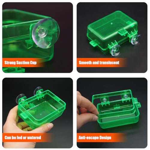 Reptile Feeder Chameleon Bowl 2 Pcs Anti-Escape Food Dish Bowl with Suction Cup for Chameleon Iguana Lizard Reptile Food and Water Feeding (Green, S)