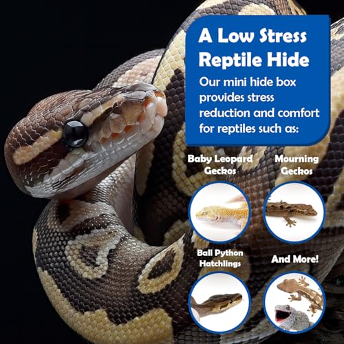 Pangea Reptile Hide Box (A - Mini 5.5"x3"x1.5") - Fits Most Standard Shoe Case Rack Units, Usable as Snake Tank Accessories, Good for Hatchling Ball Python, Boas, Baby Leopard Gecko, Lizards - size: A- Mini