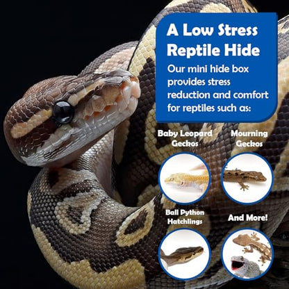 Pangea Reptile Hide Box, A - Mini 5.5"x3"x1.5" | Fits Standard Shoe Case Rack Units, Usable as Snake Tank Accessories, Good for Hatchling Ball Python, Boa, Baby Leopard Gecko - size: A- Mini