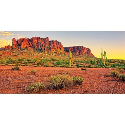 AWERT 60x24 inches Reptile Habitat Background Sky Oasis Mountain Cactus Sun and Desert Terrarium Background Durable Polyester Background - size: 60x24in/150x60cm
