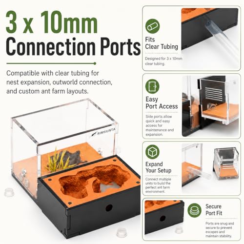 Terra Core Series S Ant Nest Starter Kit for Beginner Ant Keeping 5.9 x 4.52 x 3.54 in - size: Terra Core Series-S