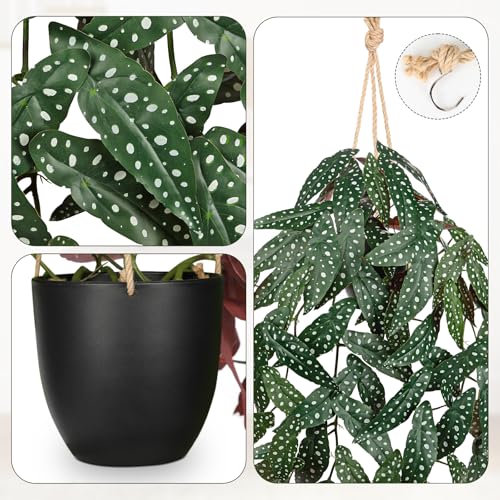 Large Fake Hanging Plants in Pot with Hook, 37" Artificial Hanging Begonia Vines Plants, Fake Potted Tropical Plants for Room Wall Living Room Bathroom Kitchen, Big Faux Ivy Houseplants for Shelf - color: # Green Anthurium Crystallinum