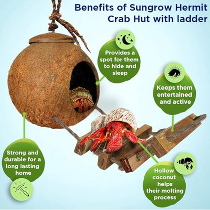 SunGrow Hermit Crab Coco Hut with Ladder, Hamster & Hermit Crab Hideout, Coconut Hide for Reptiles, Crab Cage Climbing Toys, Coconut Shell Mouse House, Habitat Tank Accessories, 5"