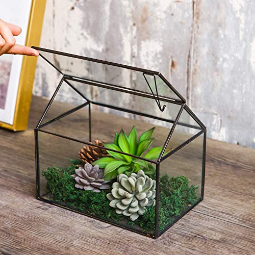 House Shape Close Glass Geometric Terrarium Tabletop Succulent Plant House Garden Planter Moss Fern Swing Lid, Flower Pot for Plants Succulent, Air Plant (Black) - color: Black