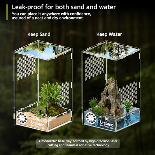 Jumping Spider Enclosure, Front-Opening Acrylic Spider Terrarium with Magnetic Door,Laser-Cut Biomimetic Ventilation System, Escape-Proof for Feeder Insects (6.5"x6.5"x12") - size: 6.5"x6.5"x12"