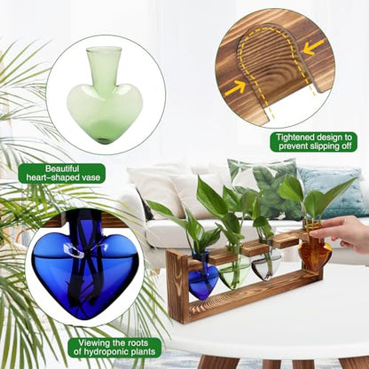 Plant Propagation Stations Heart Plant Terrarium Kit Gift for Women Plant Lover Glass Vases - color: Color01