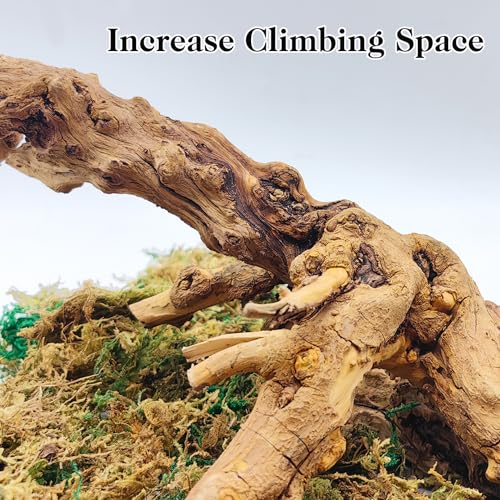 VCEPJH Reptile Bark Bedding Cork Bark for Reptiles Flat Cork Wood and Reptile Wood Branches, Snake Climbing Branch for Gecko Spider