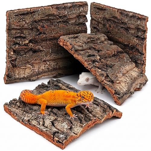 NUOBESTY 4 Pack Cork Bark Flats for Reptile Terrarium, 6x6 Natural Wood Background & Lizard Climbing Decor, Bioactive Enclosure Hideout for Crested Leopard Gecko, Spider