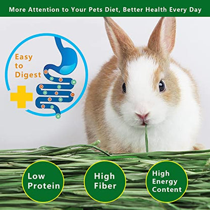 Timothy Hay, 2.2LBS Small Pet Feed | Premium dust free natural fresh timothy hay, for rabbits, tortoises, guinea pigs, chinchillas, 2 packs of 1.1lbs each