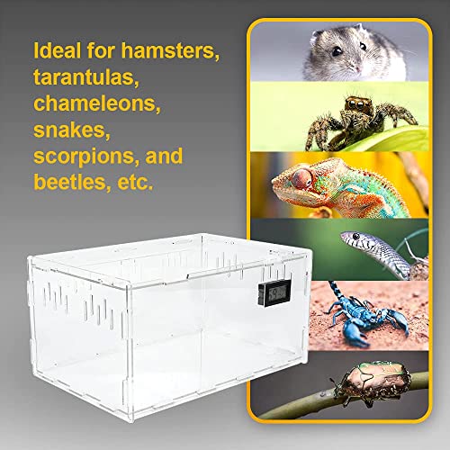 BETAZOOER Reptile Terrarium Breeding Tank Acrylic Reptile Feeding Box with Temperature Hygrometer (15.3"x9.7"x7.6") - size: Large