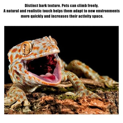 Cork Bark Background, 40x30 cm Reptile Hiding Bark Cork Terrarium Background Climbing Platforms for Beared Dragon Lizard Geckos Spider