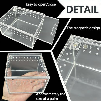 Reptile Breeding Box Small Acrylic Spider Terrarium Tarantula Enclosure Hermit Crab Tank with Terrarium Moss for Scorpion Insect Isopods Invertebrates