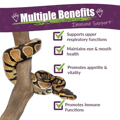 AMBER NATURALZ Reptaid XL Herbal Supplement for Large Reptiles | Herbal Pet Supplement for Immune Support | for Reptiles Above 250g | 1 Fluid Ounce Glass Bottle | Manufactured in the USA - size: Over 250 grams
