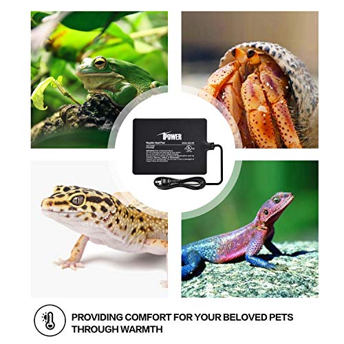 iPower 6 by 8-Inch 8 Watt Reptile Heat Pad Under Tank Terrarium Warmer Heat Mat for Small Animals - color: Black-1 Pack, size: 6" X 8", style: Heat Pad - New