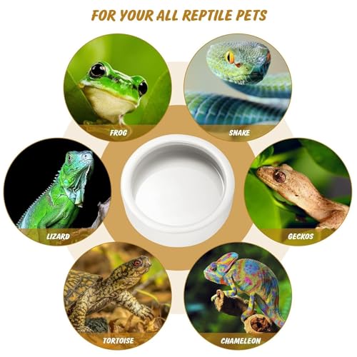 Ceramic Reptile Feeding Bowl Anti-Escape Worm Dish Lizard Gecko Bearded Dragon Food Water Bowl Terrarium Habitat Decor - size: Small