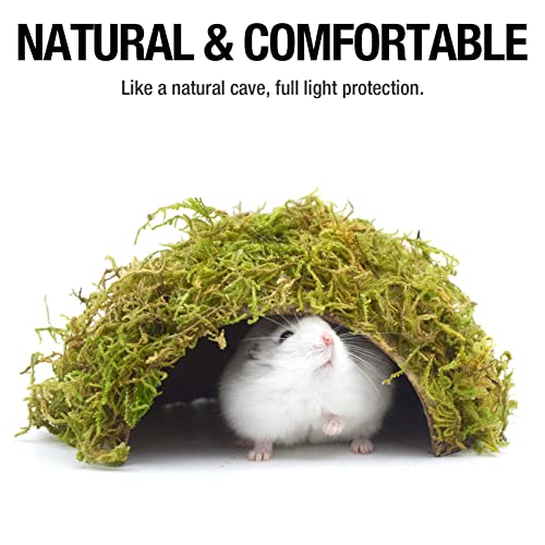 Hamster Hideaway/Hideout,Mossy Cave Hide,Hamster House/Hides,Hamster Cage Accessories for Gguinea Pig/Hedgehogs/Gliders/Rats/Mice and Other Small Animals(Set) - size: Cave, Set