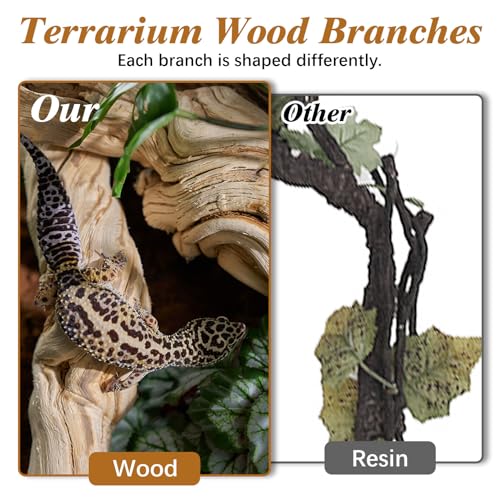 Reptile Cork Bark with Reptile Climbing Decor Thick Wood Branches Snake Habitat Decorations Terrarium Wooden Tree Trunk Ornament