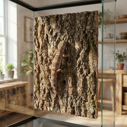 3pcs Natural Cork Bark for Terrarium - Rustic Bark Wall Panel Decor, Climbing Accessories for Reptile Tanks, Chameleons, Lizards, Turtles Glass Jar Decoration 15.75" X 11.8"