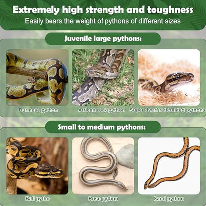 Snake Enrichment Rings for Ball Python, Climbing Toys for Corn Snake Enrichment Toys Snakes Climbing Accessories for Terrarium, Bearded Dragon, Chameleon, Iguana, Gecko, Parrot(Symmetry)