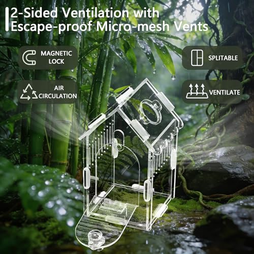 House-Shaped Acrylic Insect Terrarium & Reptile Habitat - Multi-Purpose Insect Enclosure for Jumping Spiders - Clear Acrylic Insect Cage with Ventilation, Easy Maintenance - size: Acrylic House