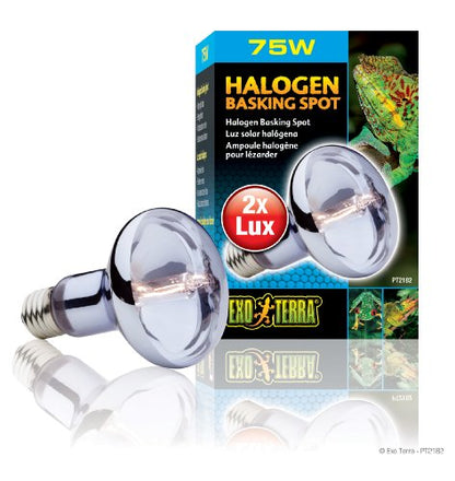 Exo Terra Sun Glo Halogen Basking Spot Lamp – 75W Reptile Light Bulb, Broad Spectrum Daylight, Enhances Coloration, Promotes Health, PT2182 - size: 75 Watts