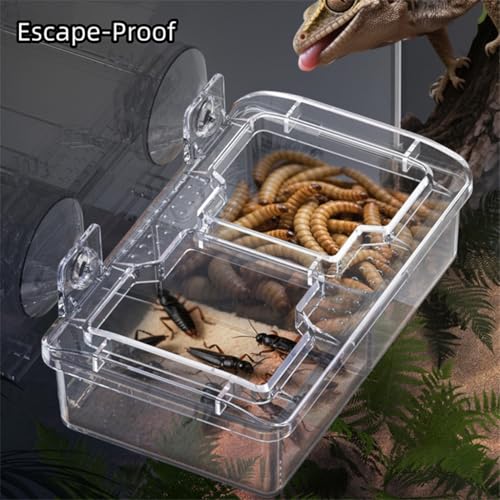 Escape Proof Reptile Feeding Dishes with Suction Cups, Small Anti-Escape Mealworms Bug Food Feeder Bowl for Lizard Leopard Gecko Chameleon Terrarium Tank Accessories