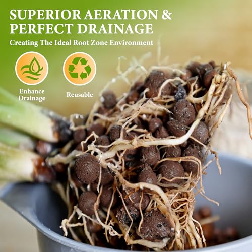 5qt LECA Clay Pebbles for Plants, 10-20mm LECA Balls for Hydroponics, Natural Clay Balls for Plants Drainage, Expanded Pebbles for Orchids, Soil Amendment, Orchid Potting Mix - size: 5 qt