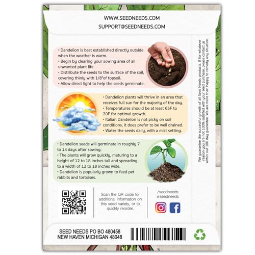 Seed Needs Garnet Stem Dandelion Seeds to Plant Heirloom & Non-GMO 5 Packs - size: 5 Packs, style: Garnet Stem Dandelion