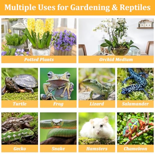 Legigo 1.3LB Sphagnum Moss for Reptile- 24 QT Natural Reptile Moss Terrarium Moss Substrate, Snake Tank Moss Peat Moss Reptile Bedding for Snake, Gecko, Ball Python, Frog and Orchids Plants - size: 1.3LB