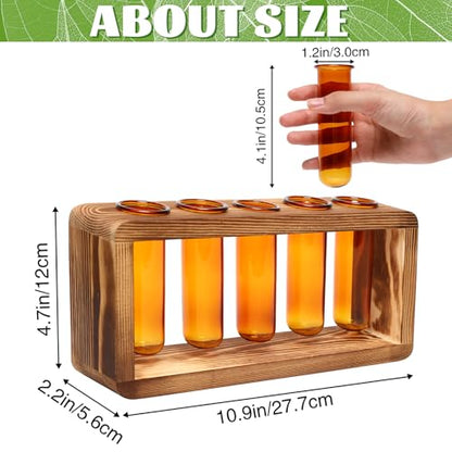 Glass Plant Propagation Station with 5 Test Tubes Colorful Planter Vase Birthday Gifts for Women in Wooden Stand - color: Amber
