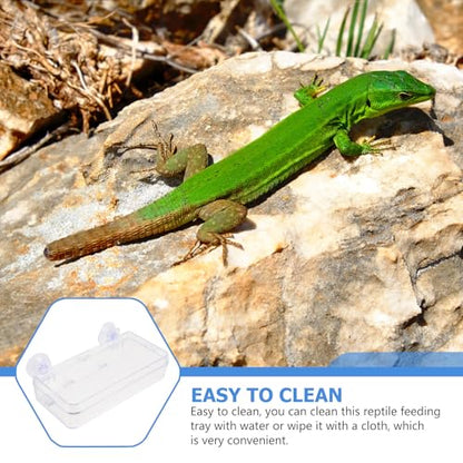 Anti-Escape Reptile Feeder Bowl Suction Cup, Water and Food Dish for Gecko and Lizard, Sturdy Pet Feeding Basin for Terrarium Use