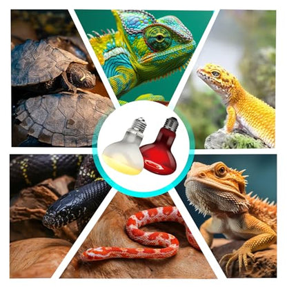 Reptile Heat Lamp Bulb 100W, 2-in-1 Infrared & UVA Sunlight Combo for Day & Night Basking – Perfect for Reptile Terrariums, Bearded Dragon, Snake, Turtle, Lizard - color: Red + White