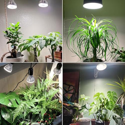 SANSI Dimmable Grow Light Bulb, Full Spectrum with Remote Control, Auto On Off Timing 4 8 12 Hrs, 5W PAR20 (75 Watt Equiv) Grow Lamp with Optical Lens for High PPFD, Energy Saving for Indoor Plants - size: PPFD 53