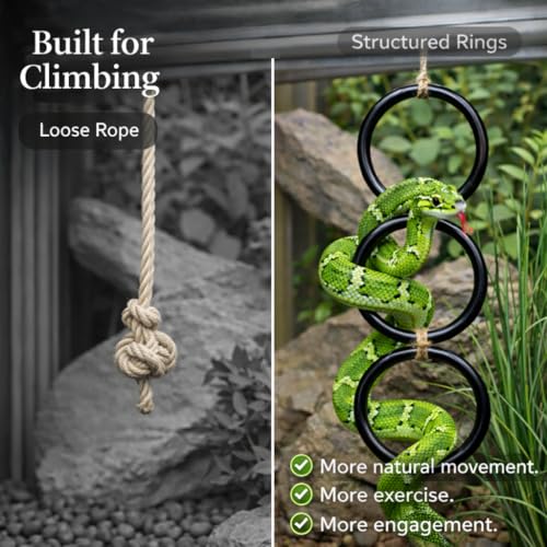 2PCS Snake Climbing Rings for Ball Python - Enrichment Toys for Corn Snake - Reptiletank Cage Decor Habitat Accessories | Terrarium, Bearded Dragon, Chameleon, Iguana, Gecko, Lizard, Parrot