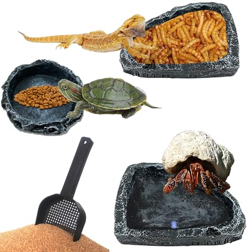4 Pack Corner Reptile Water Dish Reptile Food Bowl Hermit Crab Food and Water Bowl Small Reptile Feeding Dish for Lizard Bearded Dragon Leopard Gecko Turtle Terrarium Accessories with Scoop