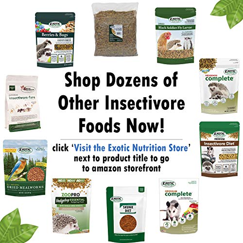 Berries & Bugs 3 lb. - All Natural High Protein High Fiber Insectivore Diet with Fruit, Gut-Loaded Insects, & Healthy Vitamins - Hedgehogs, Sugar Gliders, Skunks, Opossums & Other Insectivores - size: 3 Pound (Pack of 1)