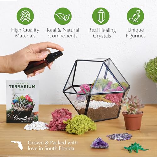 Creations by Nathalie DIY Terrarium Starter Kit - Small Terrarium Kit with Moss, Soil, Pebbles, Tools, Crystals & Figurines - Fun Gardening Craft Supplies for Adults & Teens - Handcrafted in USA