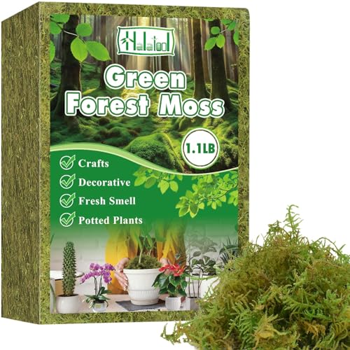 Halatool 1.1LB Green Moss for Potted Plants, 25QT Orchid Moss Potting Mix, Forest Moss for Indoor Plants, Indoor Potting Plant Moss for Repotting Terrariums Garden Reptiles - size: 1.1lb