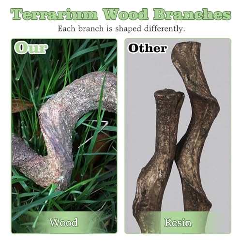Reptile Climbing Branch with Cork Branch for Reptiles Climbing Branches 2 Pack Natural Tree Frog Cork Wood Stick Crested Geckos Habitat Decor