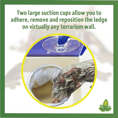 Josh's Frogs Acrylic Feeding Ledge (Holds 2-2 oz Cups) - size: For 2oz Cups