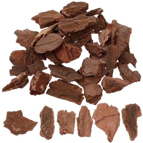 Tree Bark Base Material for DIY Model Scenes Lightweight Natural Miniature Nature Decor 1.96X1.18X0.19In Essential Architecture Model Supplies for Terrariums and Train Sets