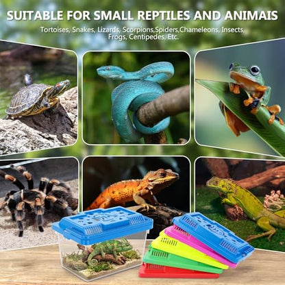 LemonRoad 25 Pcs Plastic Reptile Terrariums Carrier Cage Enclosure Snake Breeding Box Hatching Container Fish Tank with Ventilated Lid for Tarantula Spider Turtle Lizard (Cute,5.1x3.5x3.5 Inch) - color: Cute, size: 5.1x3.5x3.5 Inch