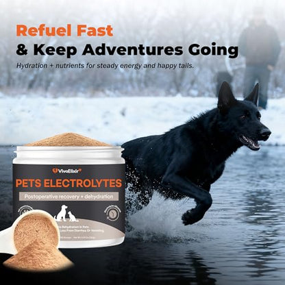 Electrolytes for Dogs – Vet-Formulated Hydration Supplement– Supports Post-Surgery & Illness Recovery– Helps Replenish Fluids & Electrolytes Lost from Diarrhea, Vomiting & Poor Appetite