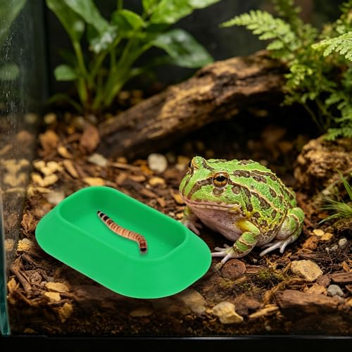 4 Pack Reptile Food and Water Bowls, Colorful Small Reptile Feeding Dishes for Leopard Gecko, Bearded Dragon, Lizard, Frog, Tortoise, Hermit Crab, Snail