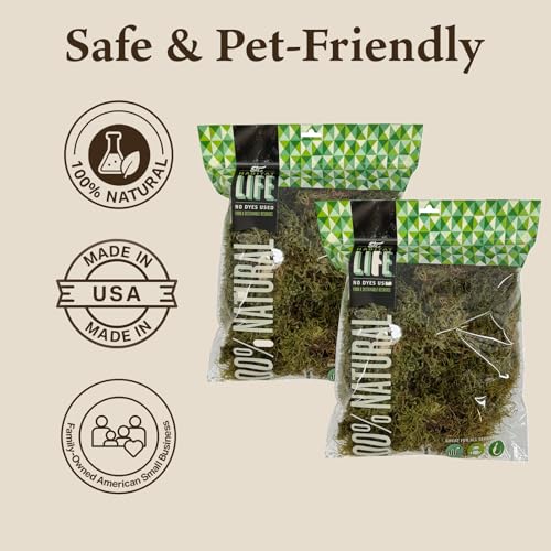 The Habitat Life - Natural Deco Moss - for Reptiles, Amphibians & Invertebrates Terrariums - Humidity Control - Natural Look & Feel - Soft Surface - Dye-Free & Safe - Medium - 2 Pack - size: Medium (2-Pack), style: Deco Moss